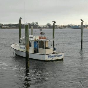 Meet your Posher, Jana